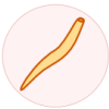 nematodo