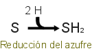 Respiraci&oacute;n con azufre