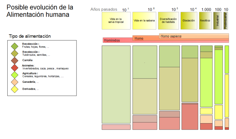 evoluci&oacute;n de la nutrici&oacute;n humana